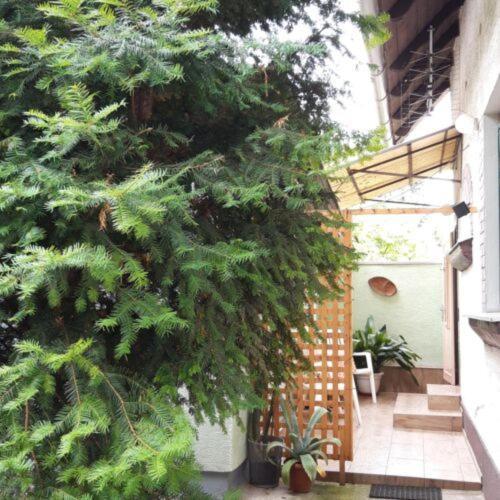 Agave Apartman Velence Extérieur photo